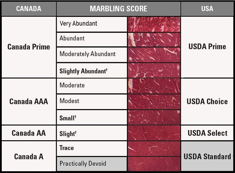 Canadian Beef Grading Agency published marbling reference photographs