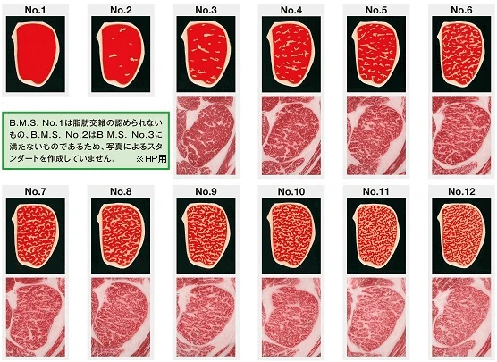 Japan Meat Grading Association official BMS 1–12 reference illustration