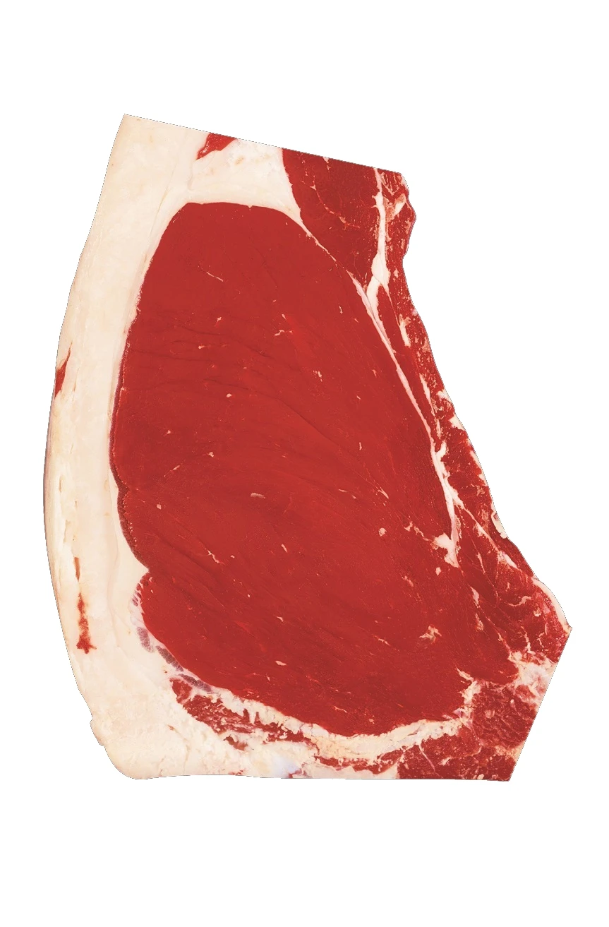 USDA slight official marbling reference