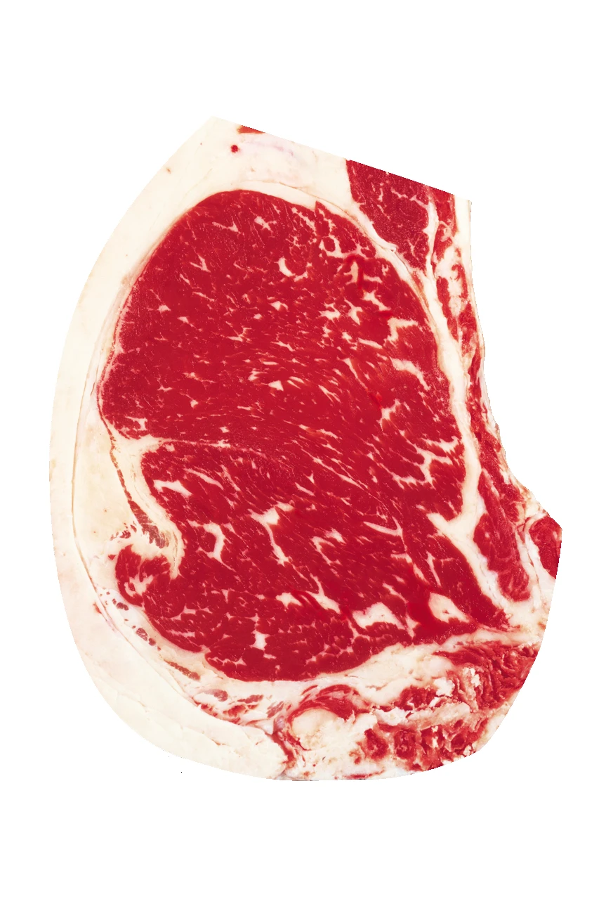 USDA slightly-abundant official marbling reference