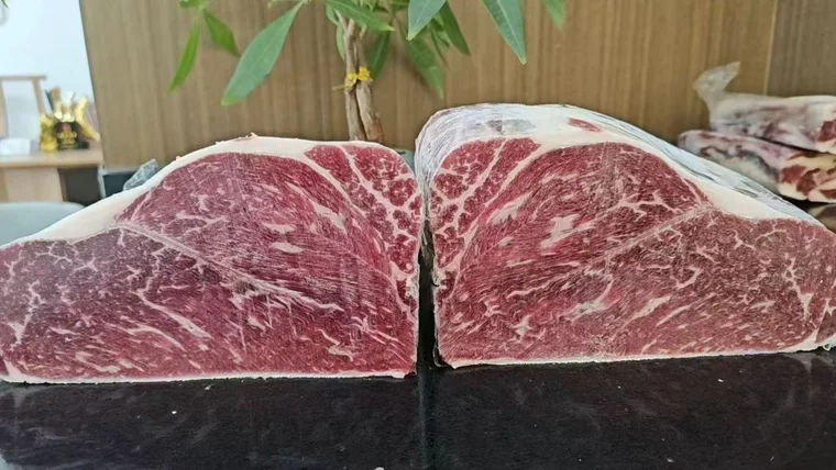 OHRA PAMPA · Bolar blade · Actual cut face